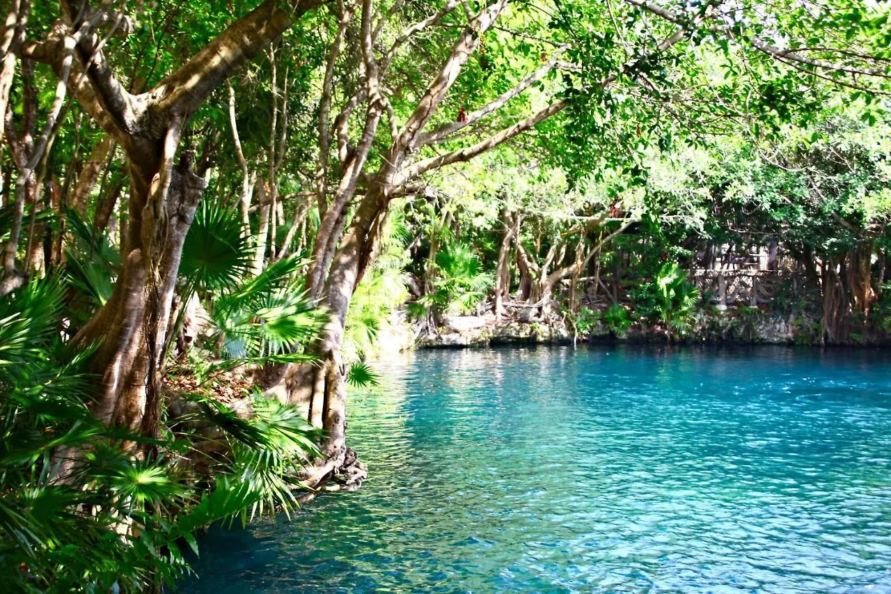 Sandos Caracol Eco Resort & Water Park (Adults Only)