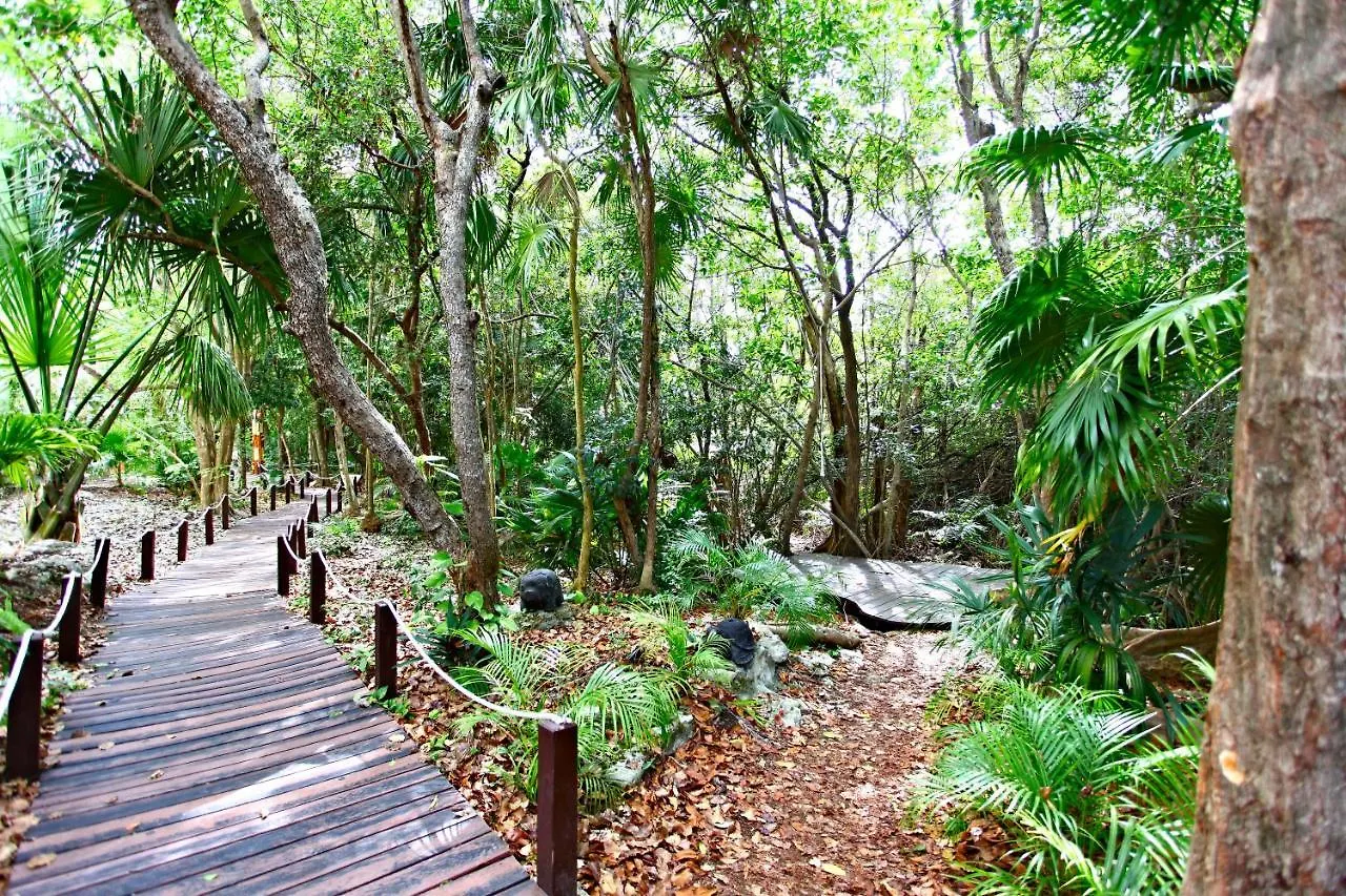 Sandos Caracol Eco Resort & Water Park (Adults Only)